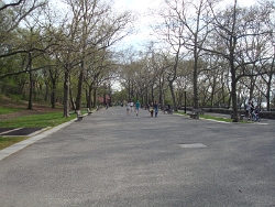 2011 Spring Scenery Walk - Riverside Park 10